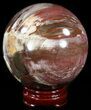 Colorful Petrified Wood Sphere #49752-1